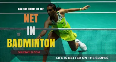 Net Hits in Badminton: What's Allowed?