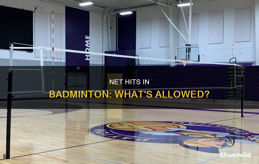 can the birdie hit the net in badminton