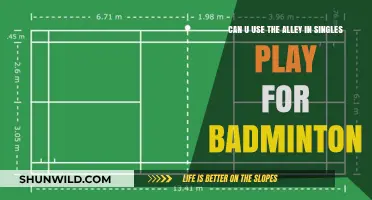 Using the Alley in Singles: Legal in Badminton?