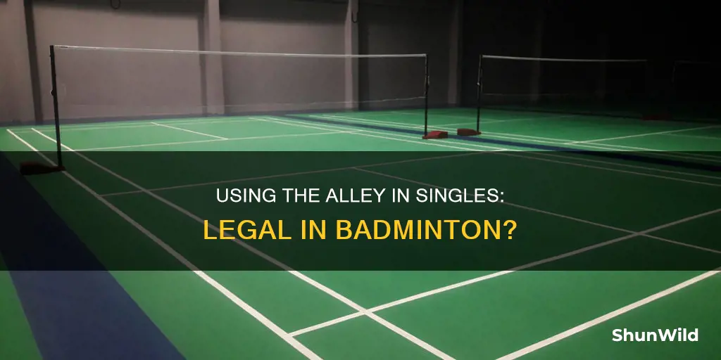 can u use the alley in singles play for badminton