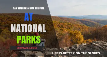 Veterans' Privilege: Free Camping in National Parks Explained