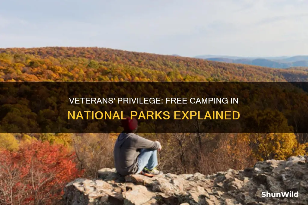 can veterans camp for free at national parks