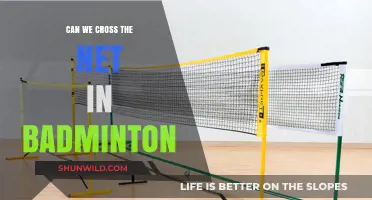 The Rules of Badminton: Crossing the Net