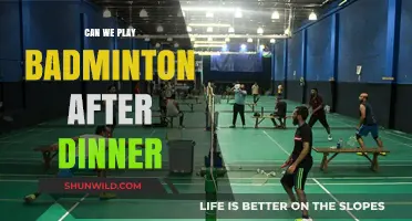 Evening Badminton: Post-Dinner Playtime?