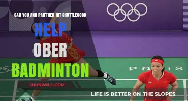 Shuttlecock Partners: Teamwork on the Badminton Court