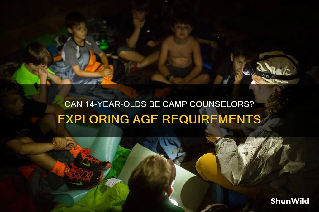 can you be a camp counselor at 14