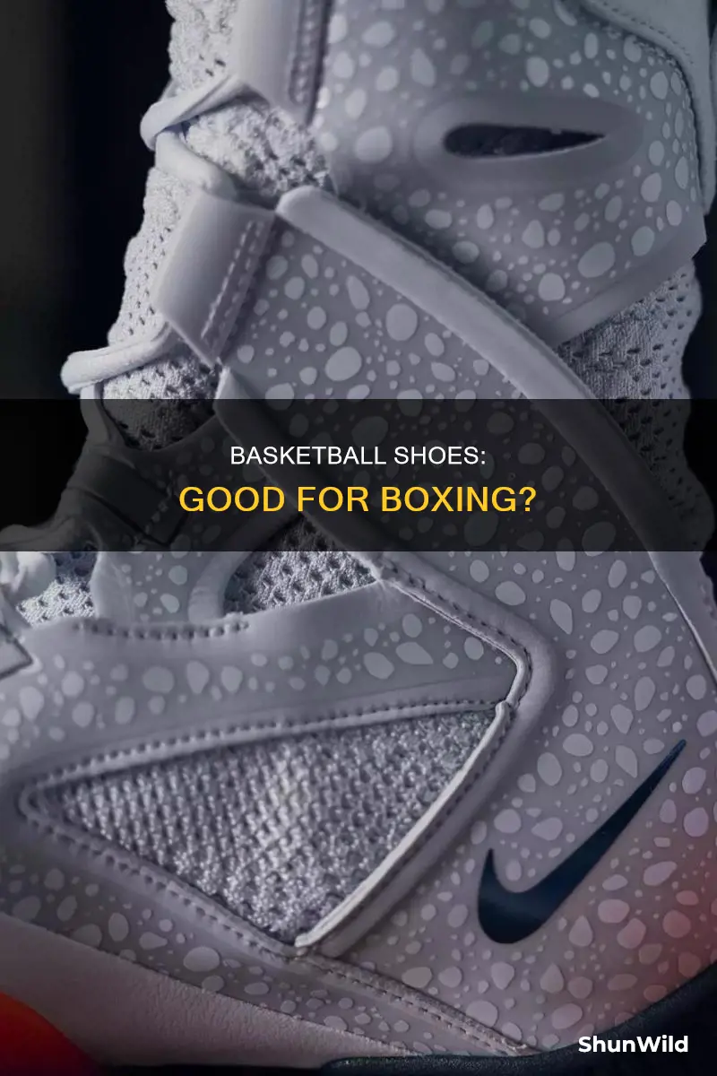 can you box in basketball shoes