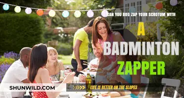 Buzzing Badminton Balls: Zapping Your Scrotum Safely