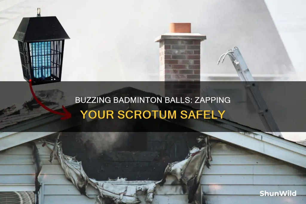 can you bug zap your scrotum with a badminton zapper