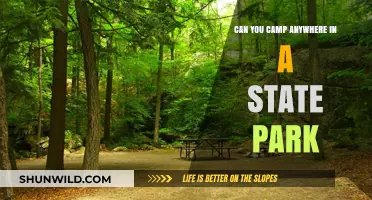 Camping in State Parks: Rules, Restrictions, and Where to Pitch Your Tent