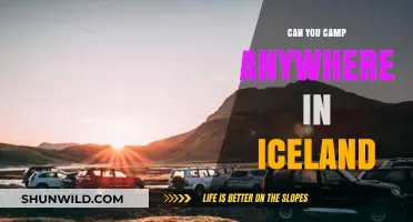 Exploring Iceland's Camping Rules: Where Can You Set Up Camp?