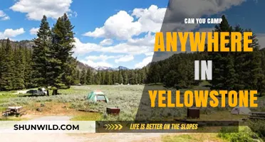Exploring Yellowstone: Where Can You Legally Camp in the Park?