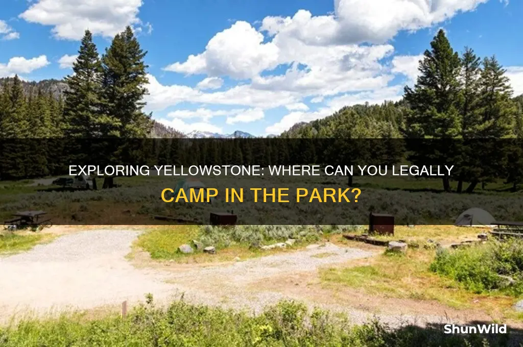 can you camp anywhere in yellowstone