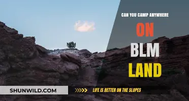 Camping on BLM Land: Rules, Tips, and Best Practices