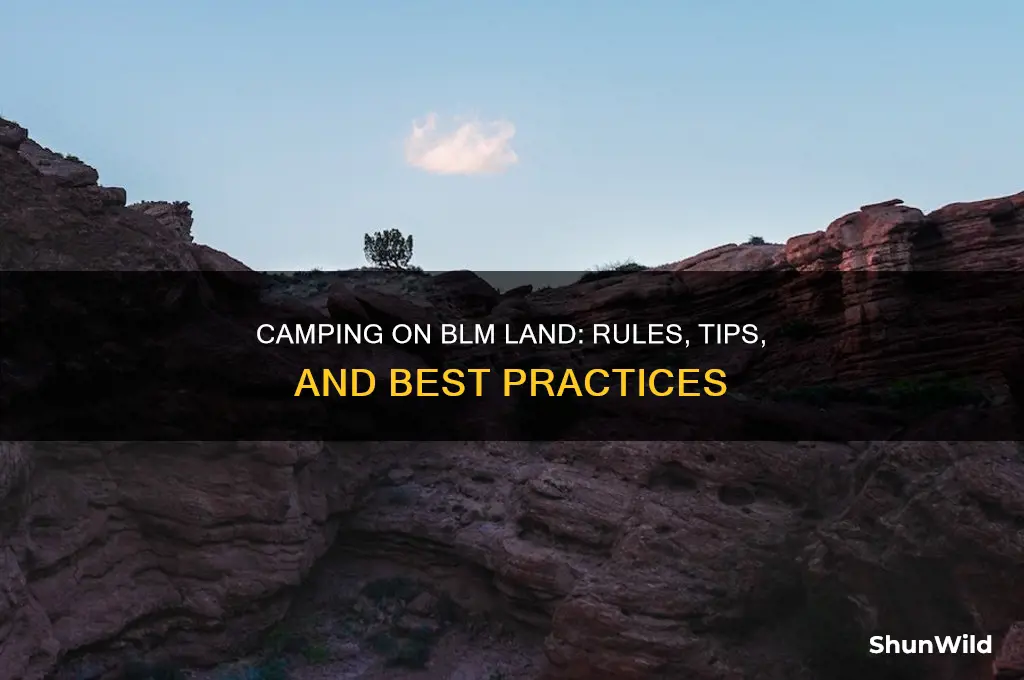can you camp anywhere on blm land