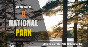 Camping in National Parks: Rules, Tips, and Best Spots to Stay