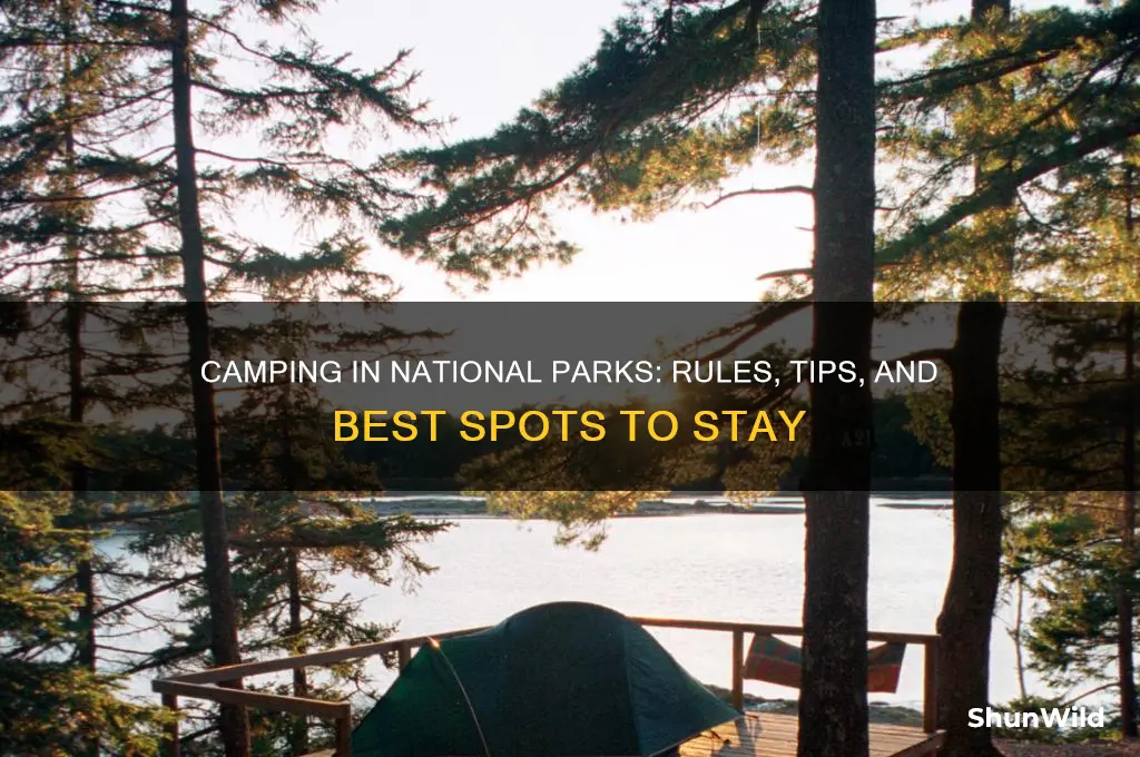 can you camp at a national park