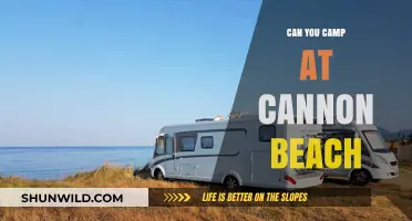 Camping at Cannon Beach: Rules, Tips, and Best Spots to Stay