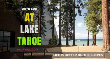 Camping at Lake Tahoe: Your Ultimate Guide to Outdoor Adventures