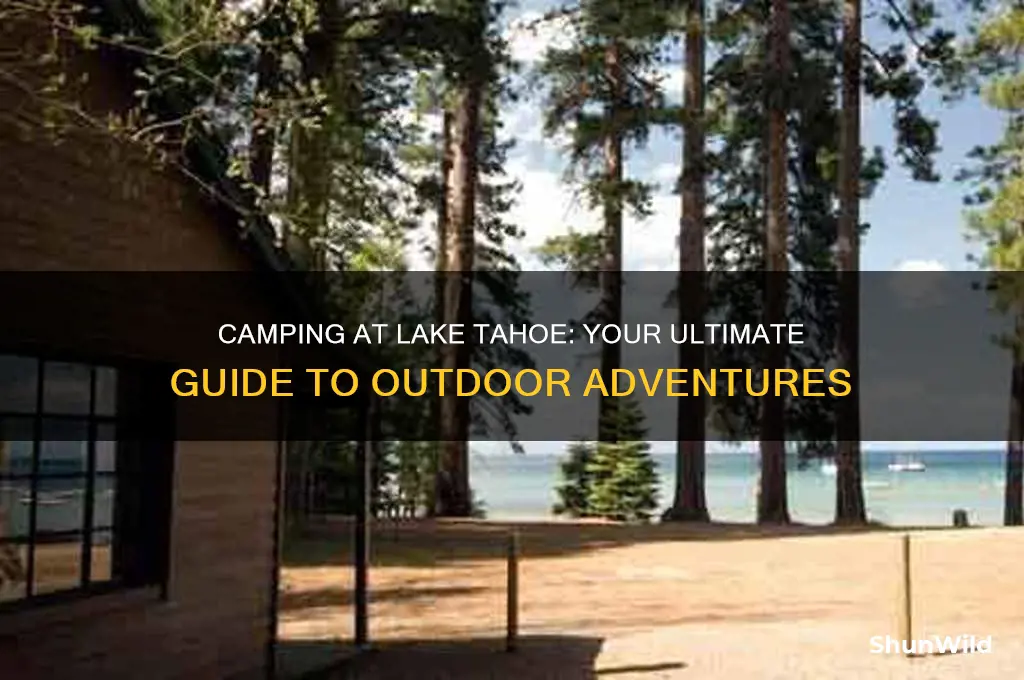 can you camp at lake tahoe