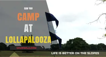 Camping at Lollapalooza: Is It Possible? Tips and Alternatives