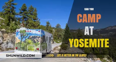 Can You Camp at Yosemite? A Complete Guide to Camping Options