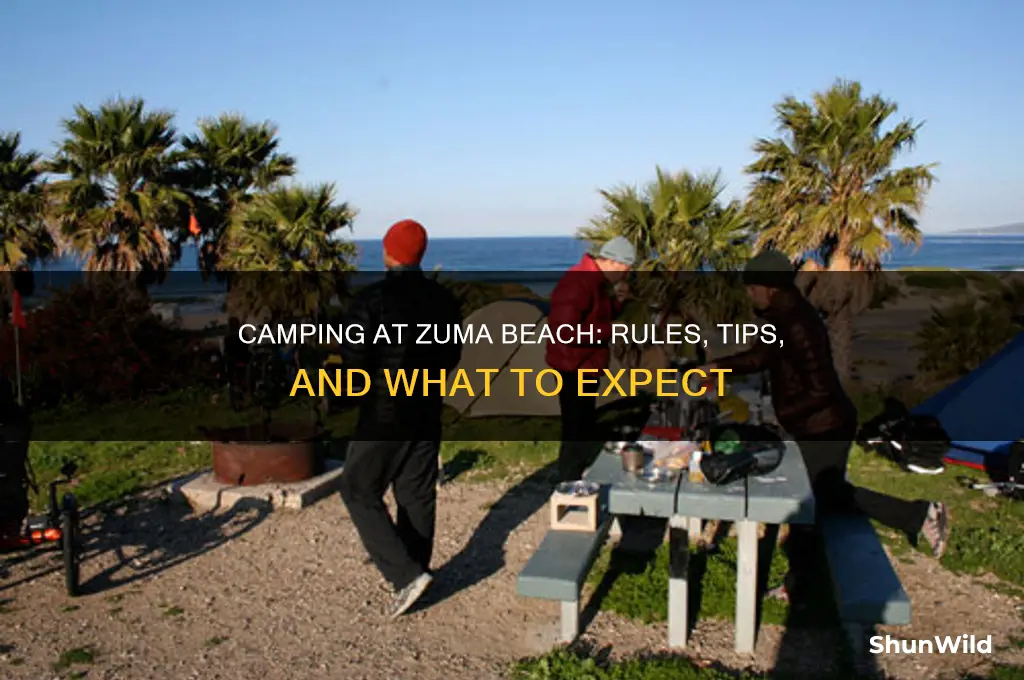 can you camp at zuma beach