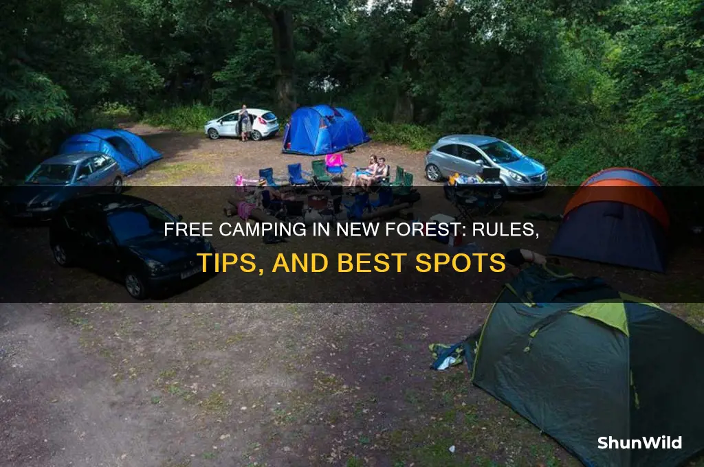 can you camp for free in new forest