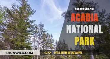 Camping in Acadia National Park: A Guide to Overnight Adventures