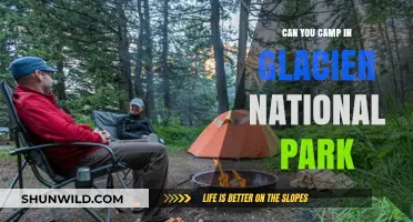 Camping in Glacier National Park: Tips, Rules, and Best Spots