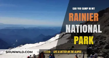 Camping in Mt. Rainier: A Guide to National Park Adventures