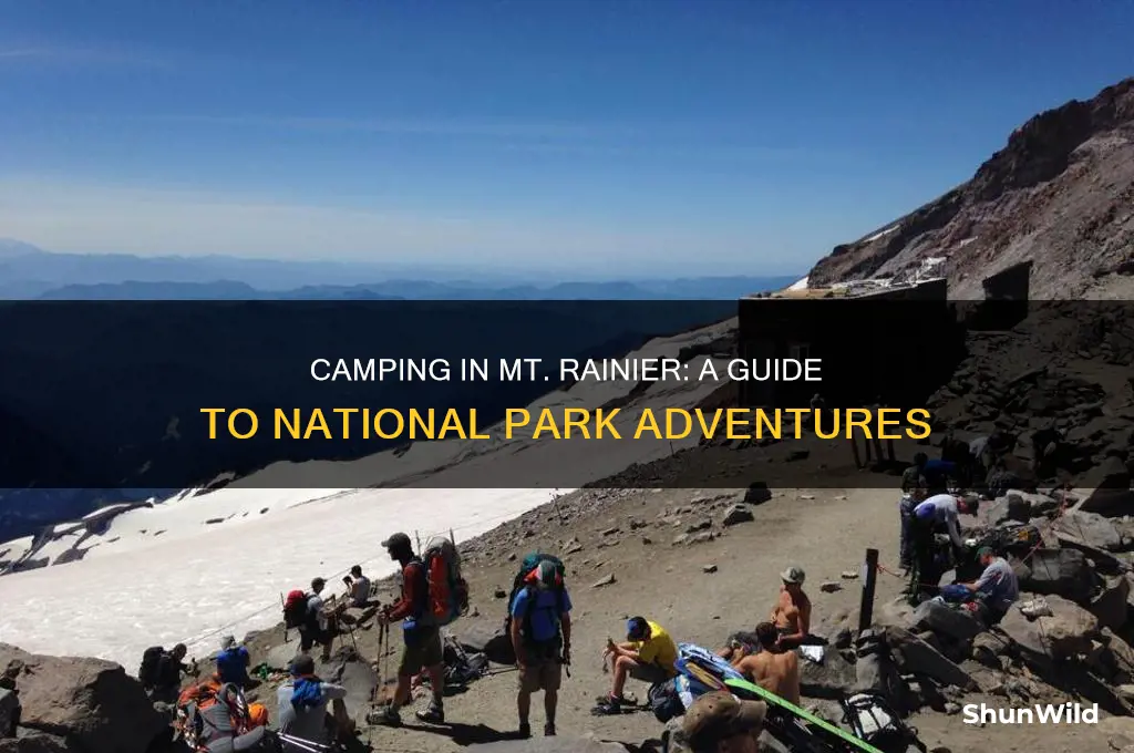 can you camp in mt rainier national park