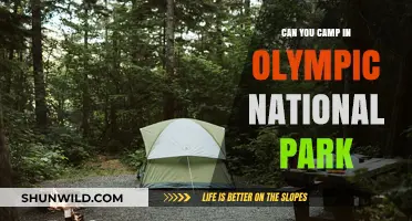 Camping in Olympic National Park: Rules, Tips, and Best Spots