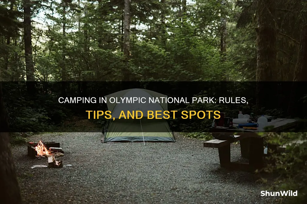 can you camp in olympic national park