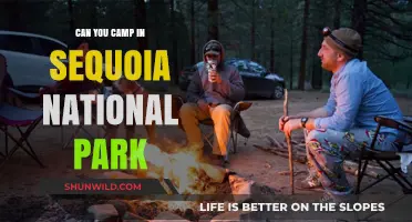 Camping in Sequoia National Park: Tips, Locations, and Regulations