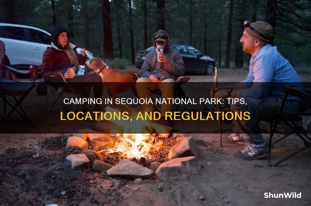 can you camp in sequoia national park