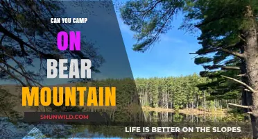 Camping on Bear Mountain: Tips, Safety, and What You Need to Know