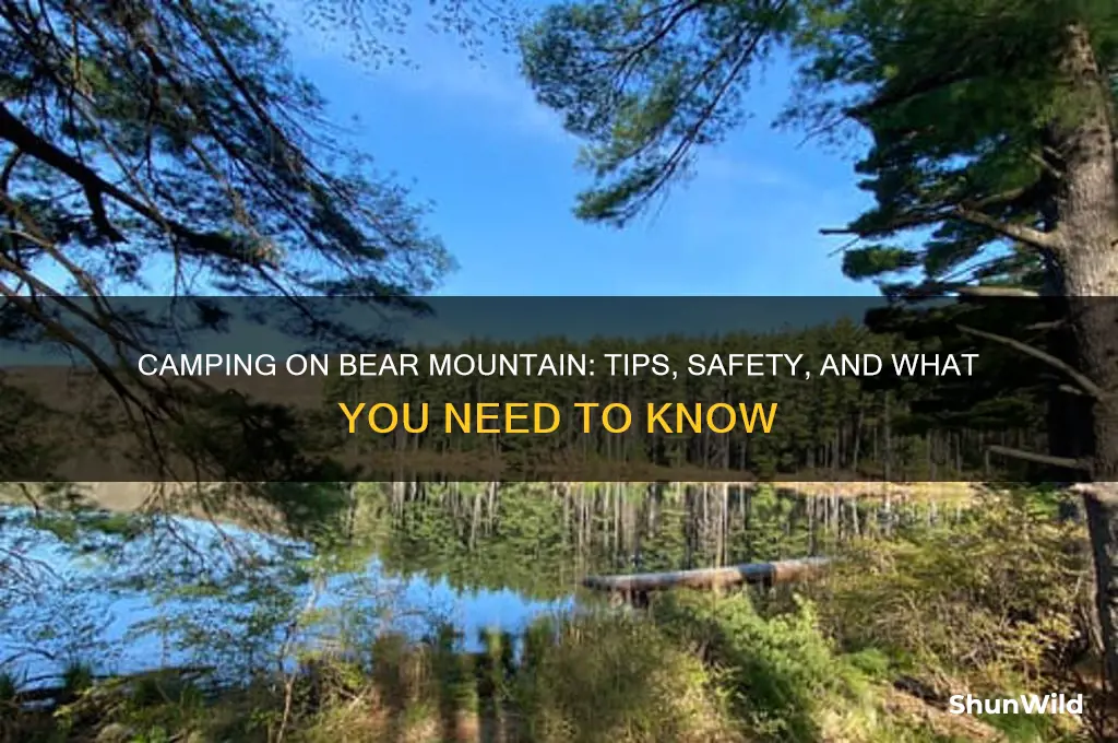 can you camp on bear mountain