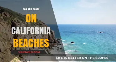Camping on California Beaches: Rules, Tips, and Best Spots