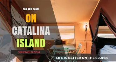 Camping on Catalina Island: A Guide to Overnight Adventures