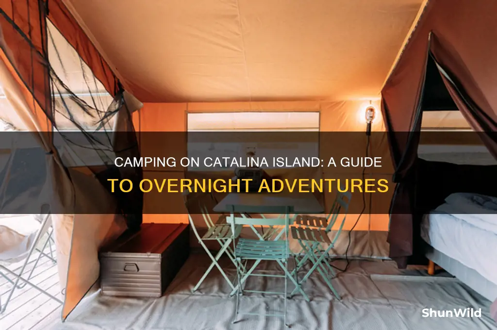 can you camp on catalina island