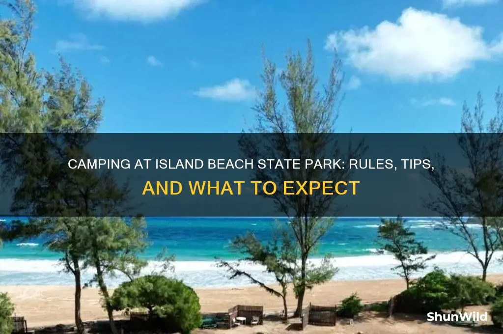 can you camp on island beach state park