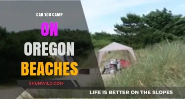 Camping on Oregon Beaches: Rules, Tips, and Best Spots