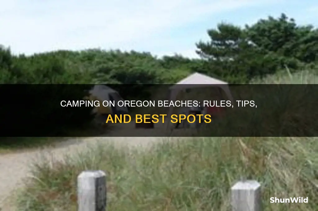 can you camp on oregon beaches