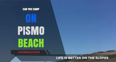 Camping on Pismo Beach: Rules, Tips, and What to Expect