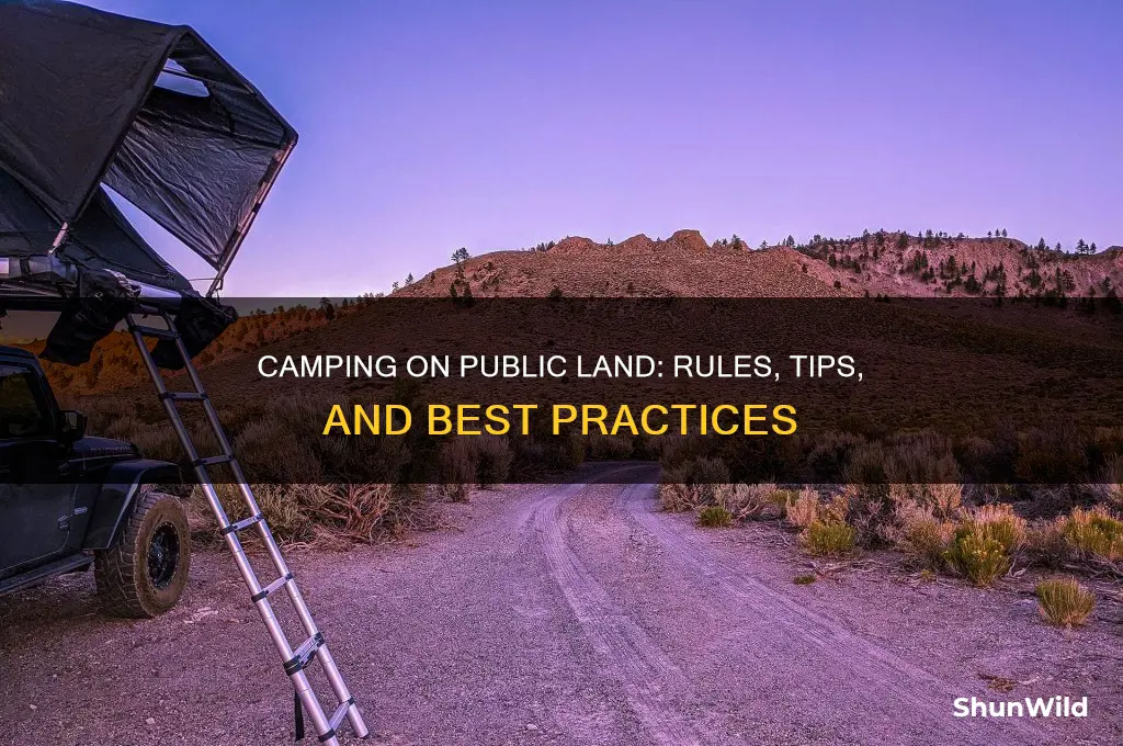 can you camp on public land