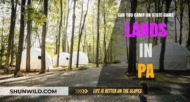 Camping on PA State Game Lands: Rules, Tips, and What’s Allowed