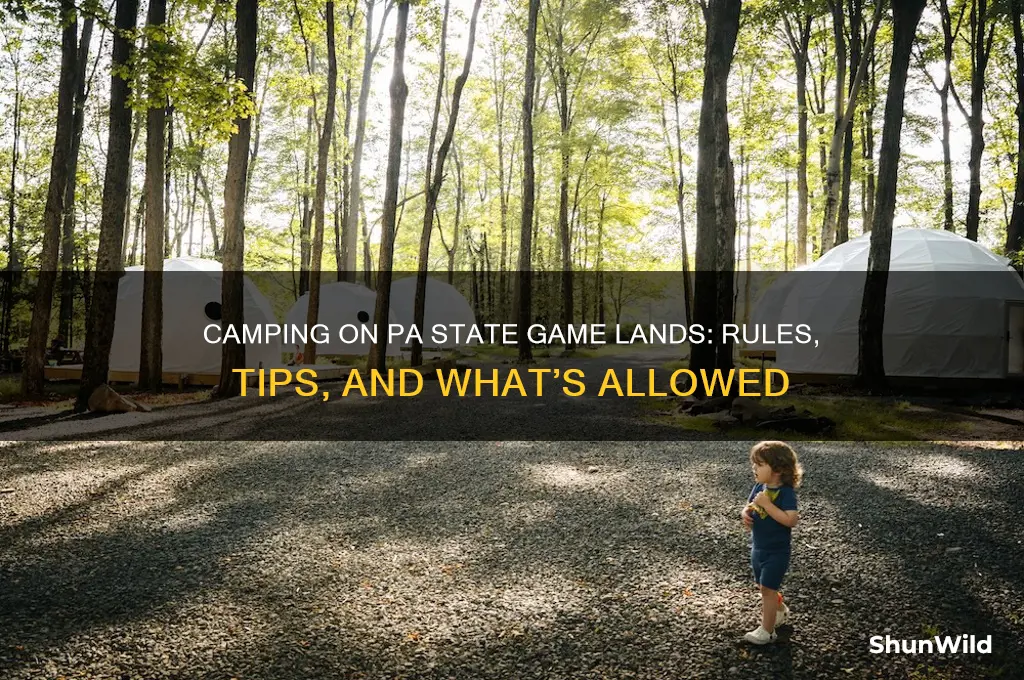 can you camp on state game lands in pa