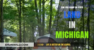 Camping on Michigan State Land: Rules, Tips, and Best Spots