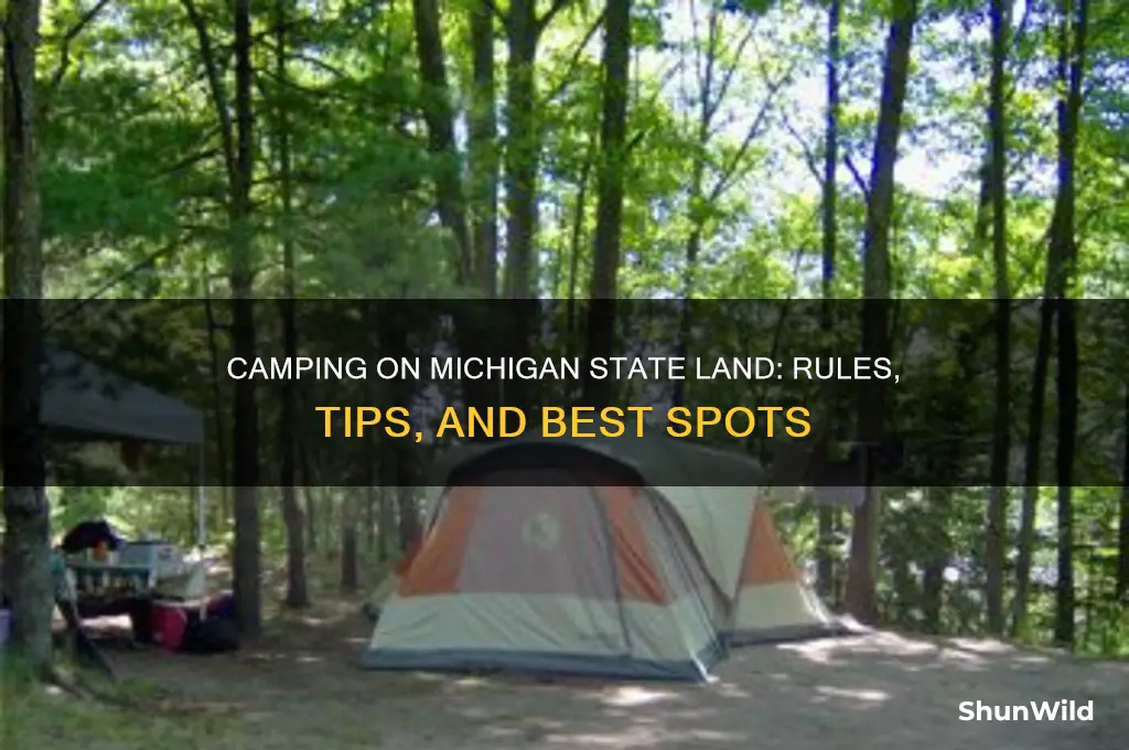 can you camp on state land in michigan